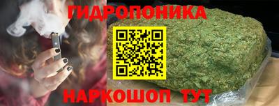 гидропоника Бугуруслан